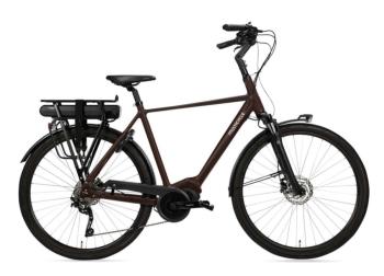 MULTICYCLE SOLO EMS- Dark Brown Glossy